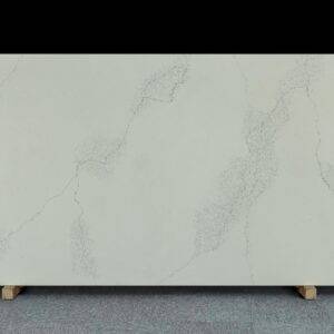 Cloud Trace 8409