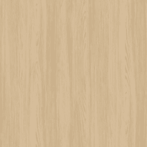 E8003-1