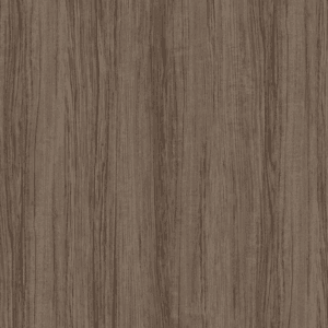 E8004