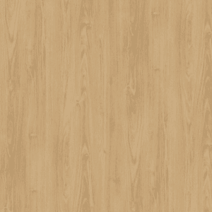 E8008-1