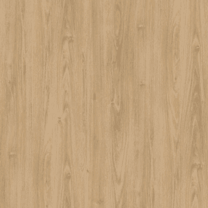 E8008-2