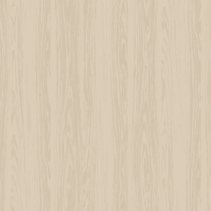 E8009