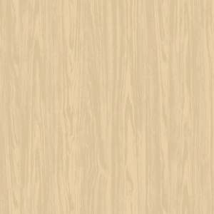 E8019-2