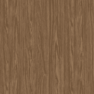 E8019