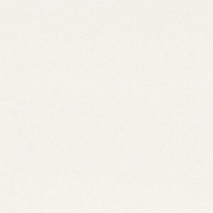 N1001 Snow White (1)