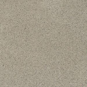 QL3 N1029