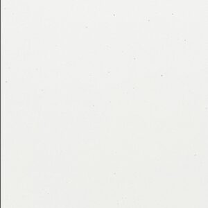 QL3 N1041 Crema