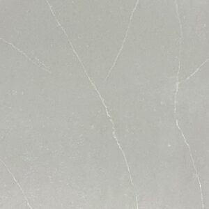 QL5 Desert Silver 3017